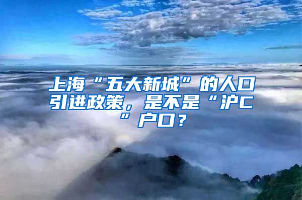 上?！拔宕笮鲁恰钡娜丝谝M(jìn)政策，是不是“滬C”戶口？