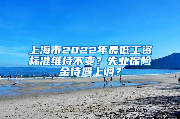 上海市2022年最低工資標(biāo)準(zhǔn)維持不變？失業(yè)保險金待遇上調(diào)？