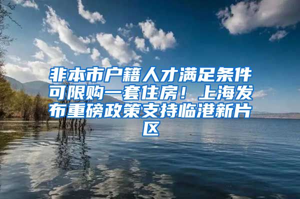 非本市戶籍人才滿足條件可限購一套住房！上海發(fā)布重磅政策支持臨港新片區(qū)