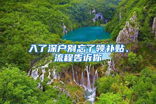 入了深戶別忘了領補貼、流程告訴你