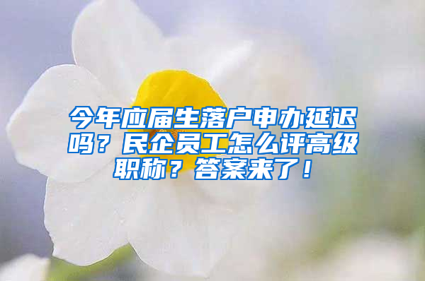 今年應屆生落戶申辦延遲嗎？民企員工怎么評高級職稱？答案來了！