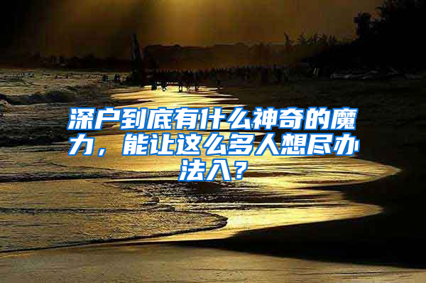 深戶到底有什么神奇的魔力，能讓這么多人想盡辦法入？