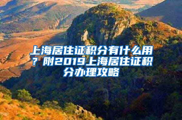 上海居住證積分有什么用？附2019上海居住證積分辦理攻略