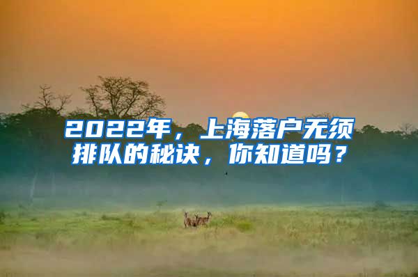 2022年，上海落戶無須排隊(duì)的秘訣，你知道嗎？