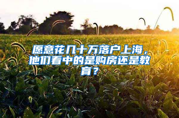 愿意花幾十萬落戶上海，他們看中的是購房還是教育？