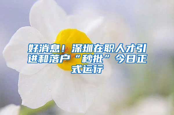 好消息！深圳在職人才引進和落戶“秒批”今日正式運行