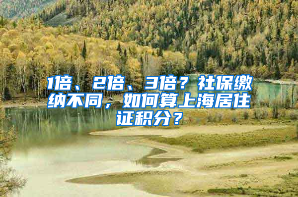 1倍、2倍、3倍？社保繳納不同，如何算上海居住證積分？