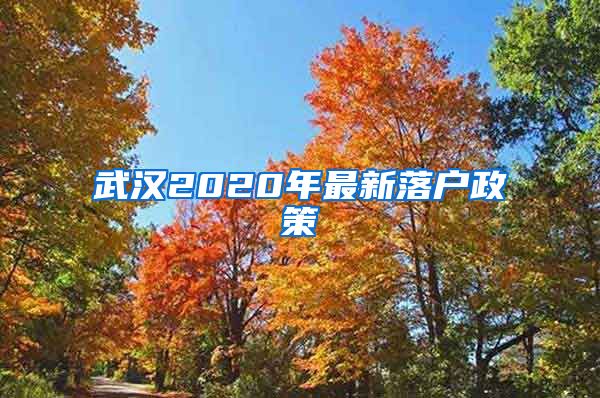 武漢2020年最新落戶政策