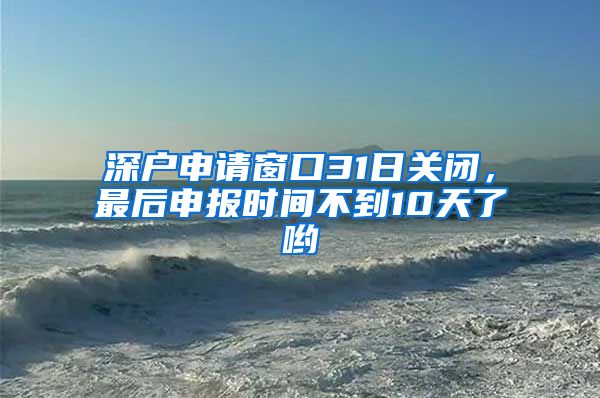 深戶申請窗口31日關(guān)閉，最后申報時間不到10天了喲