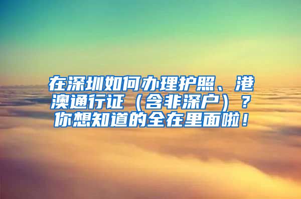 在深圳如何辦理護(hù)照、港澳通行證（含非深戶）？你想知道的全在里面啦！