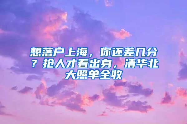 想落戶上海，你還差幾分？搶人才看出身，清華北大照單全收