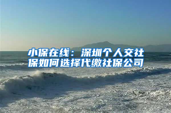 小保在線：深圳個(gè)人交社保如何選擇代繳社保公司