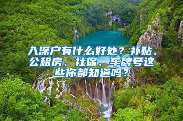 入深戶有什么好處？補(bǔ)貼、公租房、社保、車牌號(hào)這些你都知道嗎？