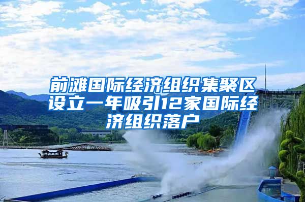 前灘國際經(jīng)濟組織集聚區(qū)設(shè)立一年吸引12家國際經(jīng)濟組織落戶