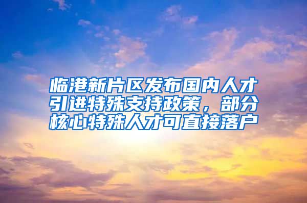 臨港新片區(qū)發(fā)布國內(nèi)人才引進(jìn)特殊支持政策，部分核心特殊人才可直接落戶