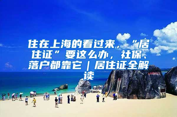 住在上海的看過來，“居住證”要這么辦，社保、落戶都靠它｜居住證全解讀