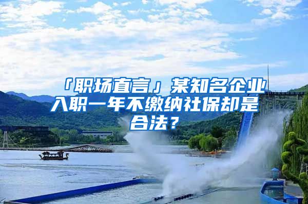 「職場直言」某知名企業(yè)入職一年不繳納社保卻是合法？