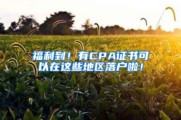 福利到！有CPA證書可以在這些地區(qū)落戶啦！