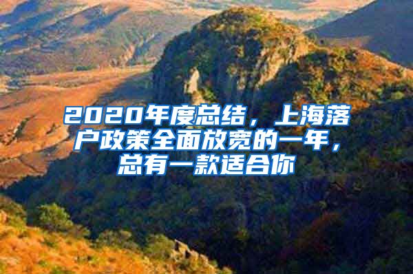 2020年度總結(jié)，上海落戶政策全面放寬的一年，總有一款適合你