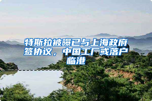 特斯拉被曝已與上海政府簽協(xié)議，中國工廠或落戶臨港