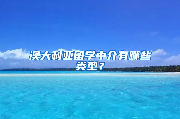 澳大利亞留學(xué)中介有哪些類型？