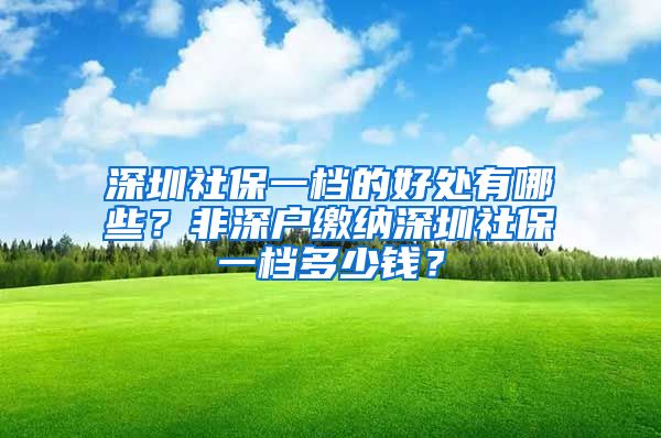 深圳社保一檔的好處有哪些？非深戶繳納深圳社保一檔多少錢？