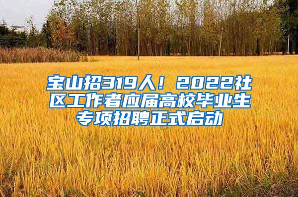 寶山招319人！2022社區(qū)工作者應(yīng)屆高校畢業(yè)生專項招聘正式啟動