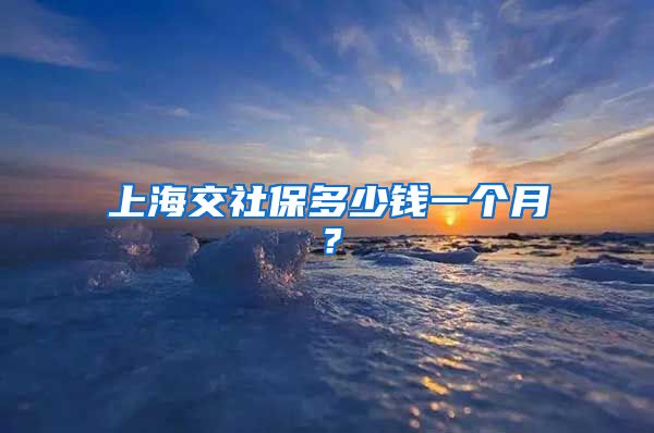 上海交社保多少錢(qián)一個(gè)月？