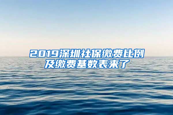 2019深圳社保繳費(fèi)比例及繳費(fèi)基數(shù)表來了