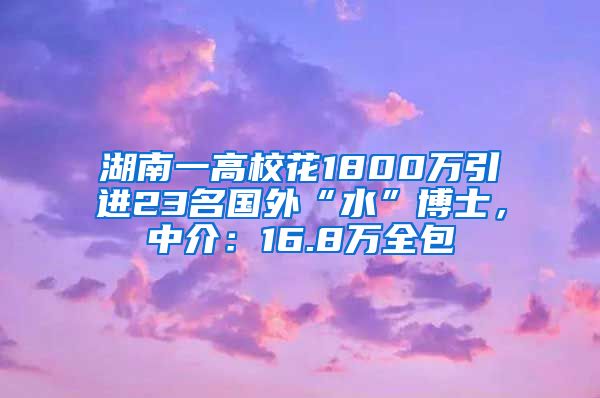 湖南一高校花1800萬引進23名國外“水”博士，中介：16.8萬全包