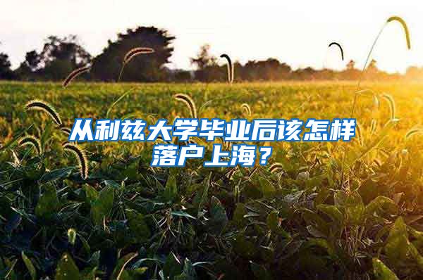 從利茲大學(xué)畢業(yè)后該怎樣落戶上海？