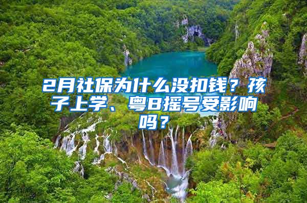 2月社保為什么沒扣錢？孩子上學(xué)、粵B搖號(hào)受影響嗎？