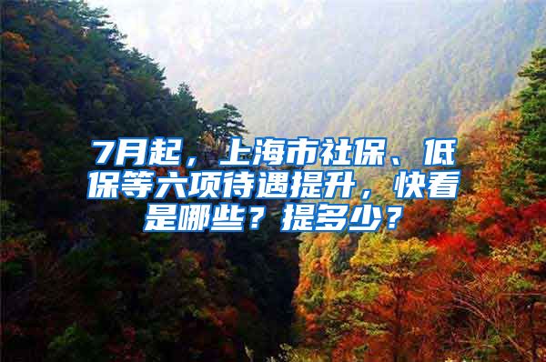 7月起，上海市社保、低保等六項待遇提升，快看是哪些？提多少？