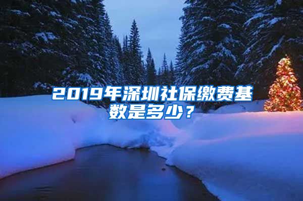 2019年深圳社保繳費基數(shù)是多少？