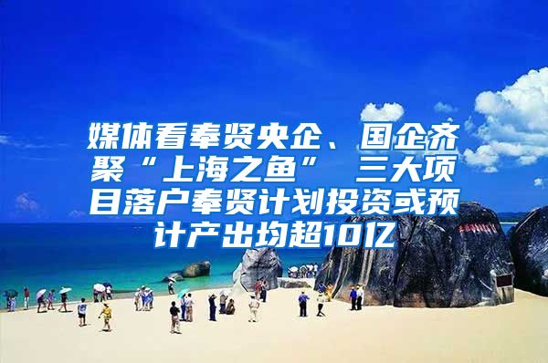 媒體看奉賢央企、國(guó)企齊聚“上海之魚(yú)” 三大項(xiàng)目落戶奉賢計(jì)劃投資或預(yù)計(jì)產(chǎn)出均超10億