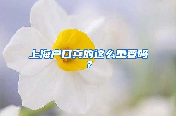 上海戶口真的這么重要嗎？