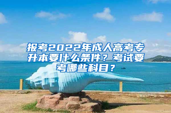 報(bào)考2022年成人高考專升本要什么條件？考試要考哪些科目？