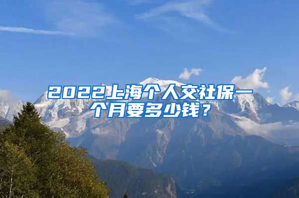 2022上海個(gè)人交社保一個(gè)月要多少錢(qián)？