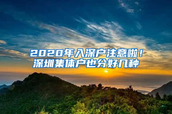 2020年入深戶注意啦！深圳集體戶也分好幾種