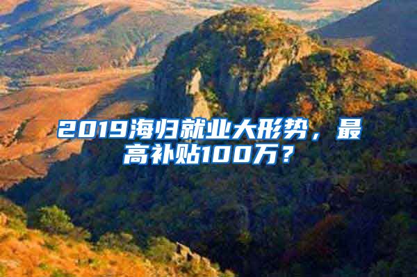 2019海歸就業(yè)大形勢，最高補貼100萬？