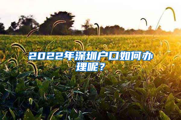 2022年深圳戶口如何辦理呢？