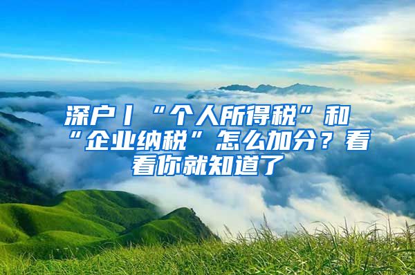 深戶丨“個人所得稅”和“企業(yè)納稅”怎么加分？看看你就知道了