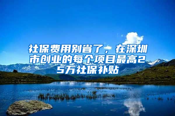 社保費(fèi)用別省了，在深圳市創(chuàng)業(yè)的每個(gè)項(xiàng)目最高25萬社保補(bǔ)貼