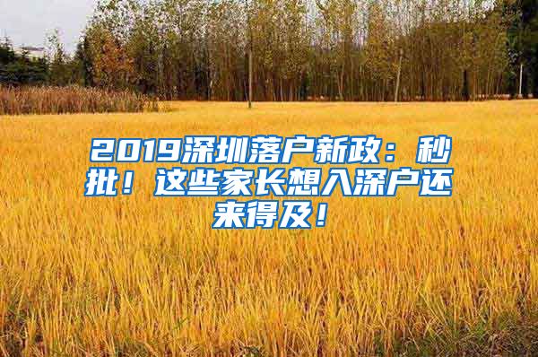 2019深圳落戶新政：秒批！這些家長(zhǎng)想入深戶還來(lái)得及！