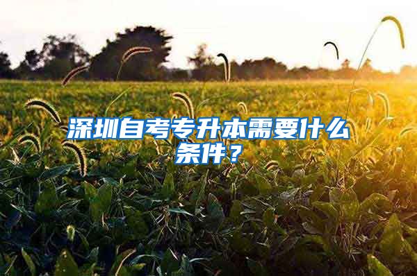 深圳自考專升本需要什么條件？