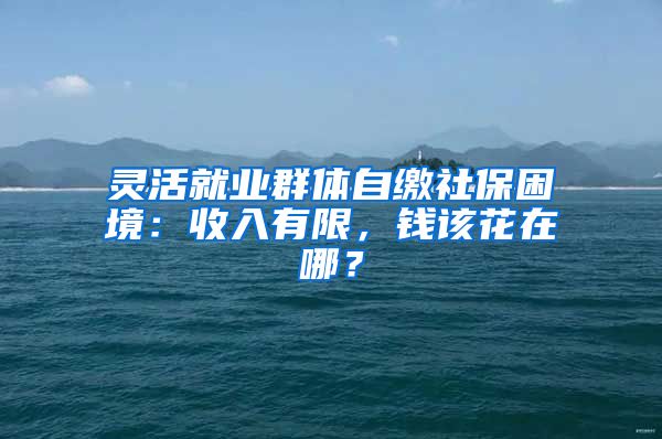 靈活就業(yè)群體自繳社保困境：收入有限，錢該花在哪？