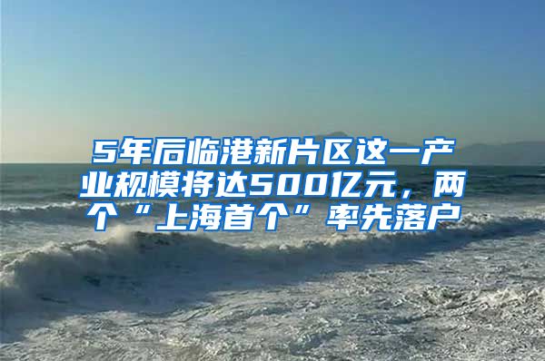 5年后臨港新片區(qū)這一產(chǎn)業(yè)規(guī)模將達500億元，兩個“上海首個”率先落戶