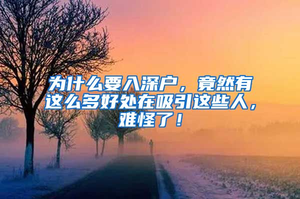 為什么要入深戶，竟然有這么多好處在吸引這些人，難怪了！