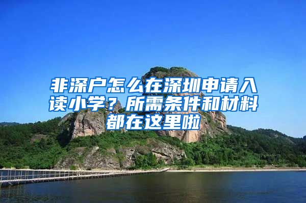 非深戶怎么在深圳申請入讀小學？所需條件和材料都在這里啦