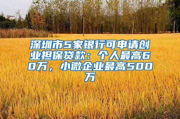 深圳市5家銀行可申請創(chuàng)業(yè)擔保貸款：個人最高60萬，小微企業(yè)最高500萬